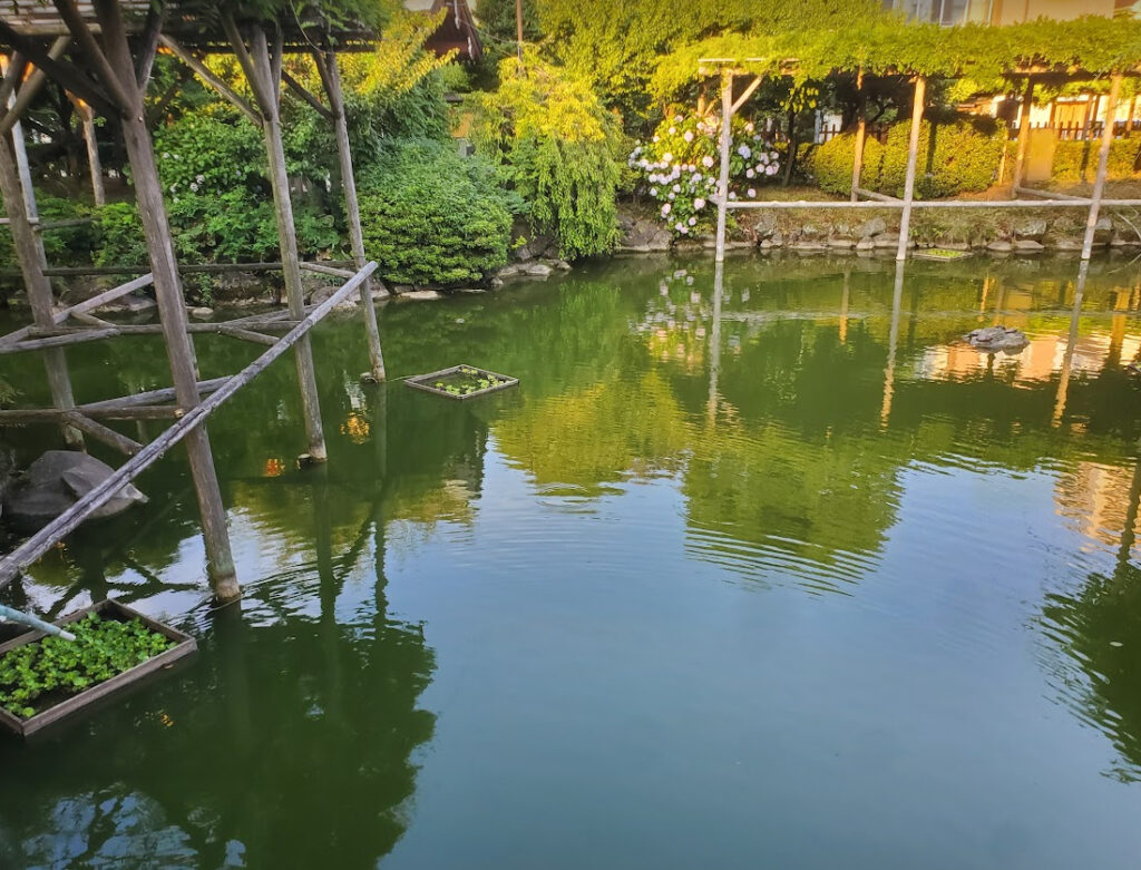 亀戸天神社の池