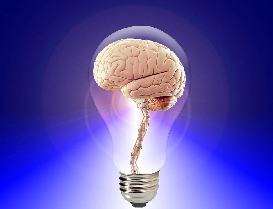 脳と電球