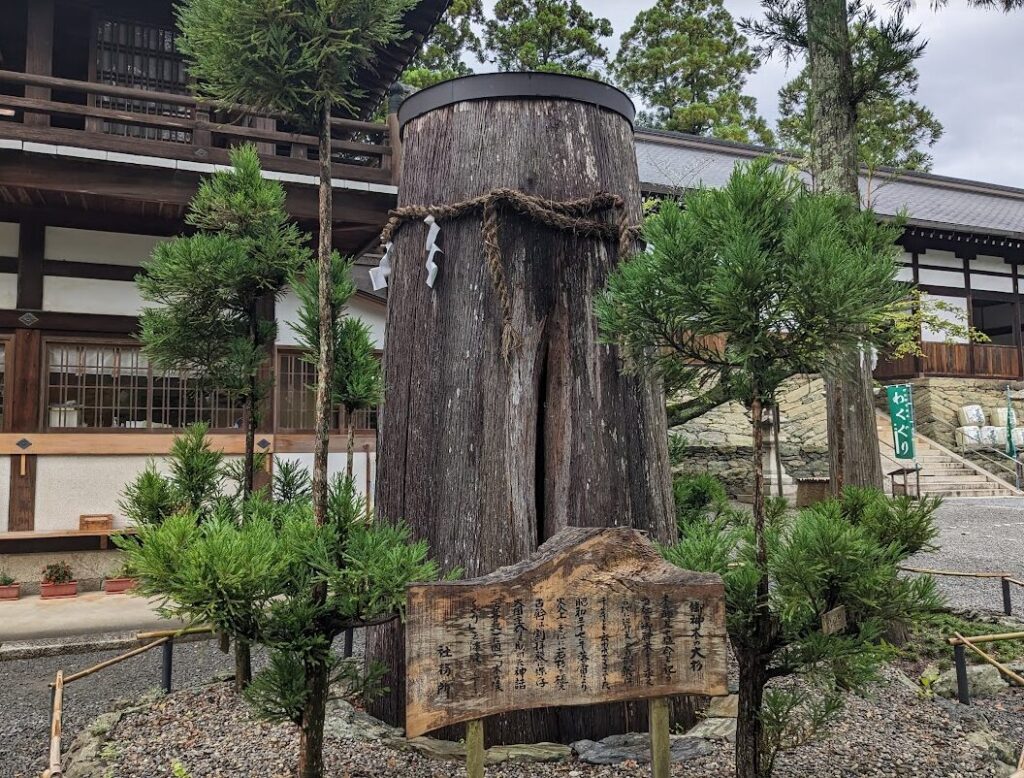 伊太祁曽神社,神木