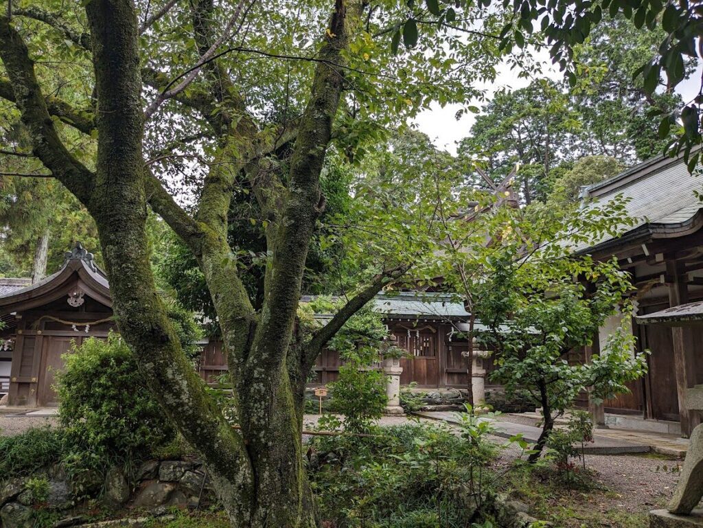 伊太祁曽神社