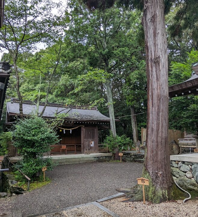 伊太祁曽神社,神木