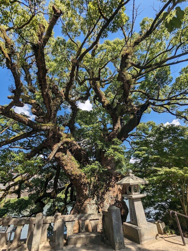 與止日女神社,御朱印,ご神木,杉,楠,淀姫神社,河上神社