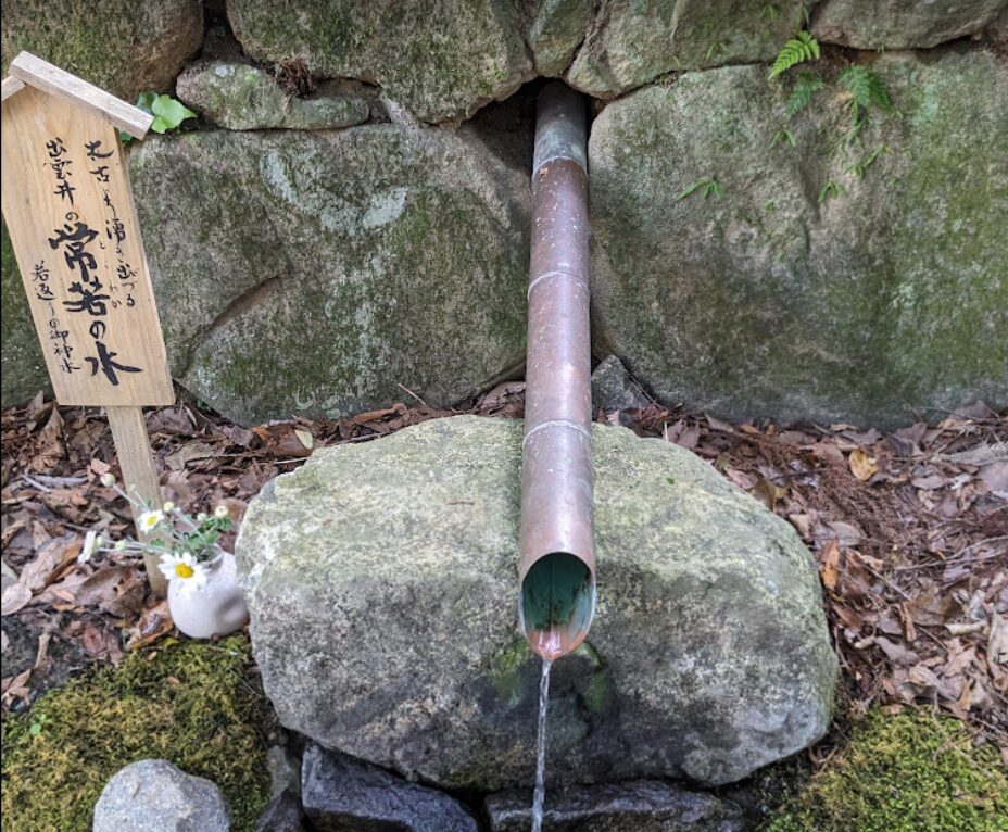 出雲井,枚岡神社