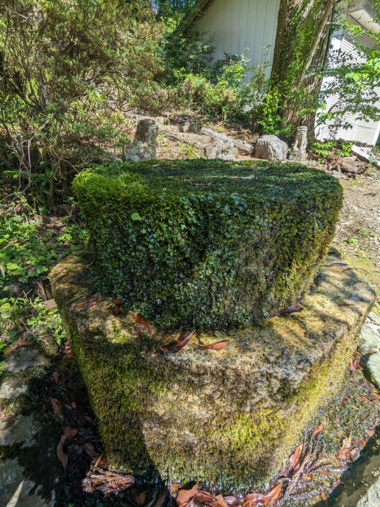 上一宮大栗神社,社殿,鳥居,神門