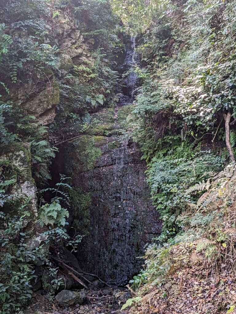 松尾大社,霊亀の滝