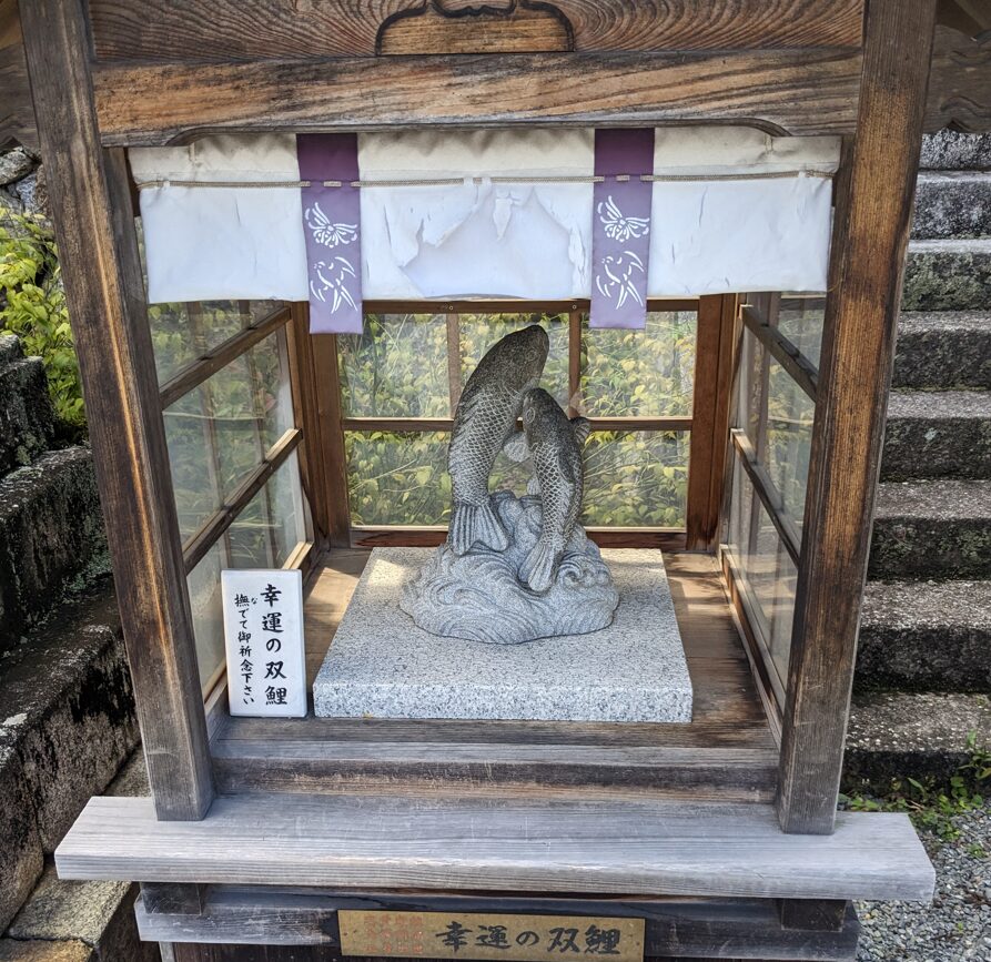 松尾大社,幸運の双鯉