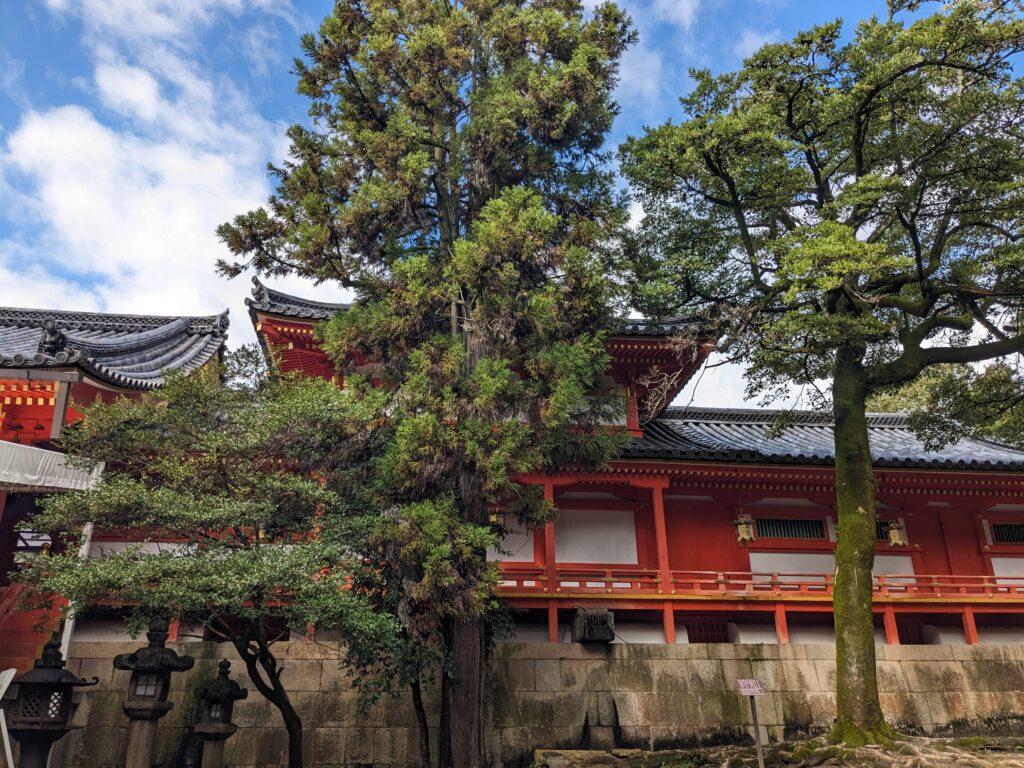 石清水八幡宮,社殿