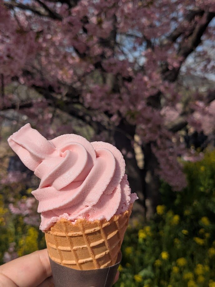 桜ソフトクリーム
