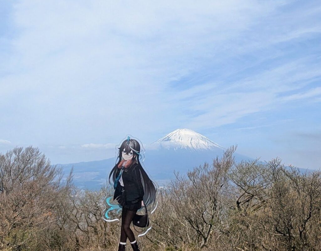 金時山,雨夜リズ,富士山