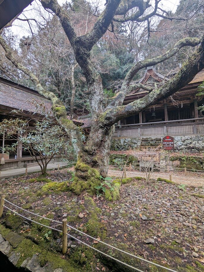 吉野水分神社