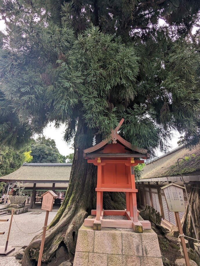 春日大社,摂社,末社,岩本神社
